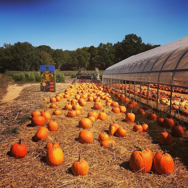 Elliot Farm