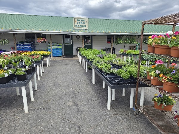 Ochs Farm Market