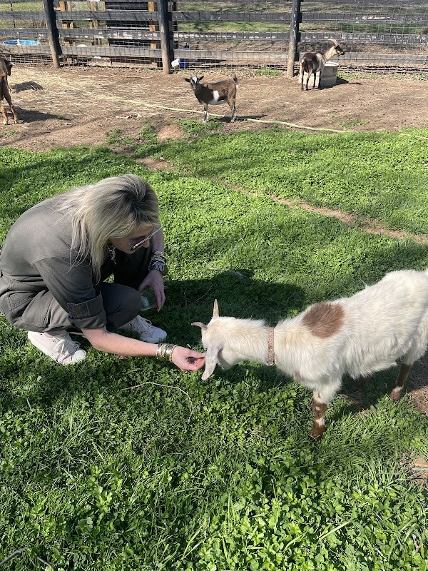 The Good Place Farm
