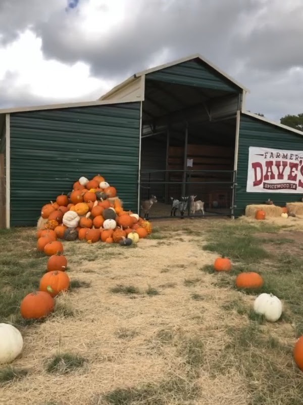 Farmer Dave's