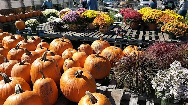Fairmount Fruit Farm