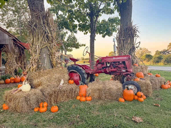 Swann Farms