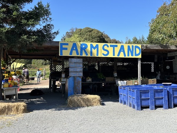 Worker Bee Farm