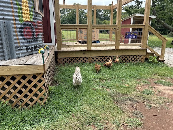 P&M Family Produce