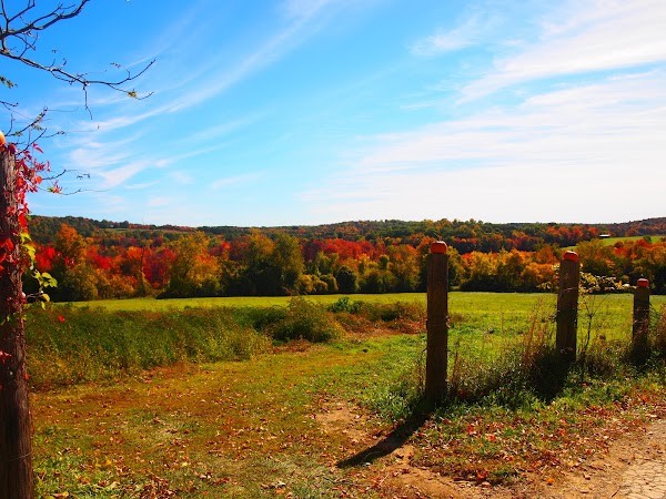 Ashland Farms