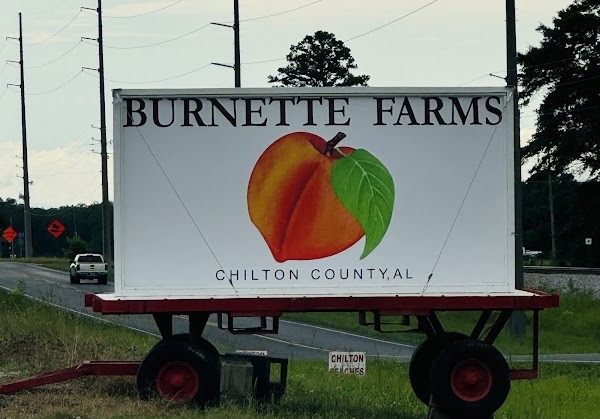 Burnette Farms