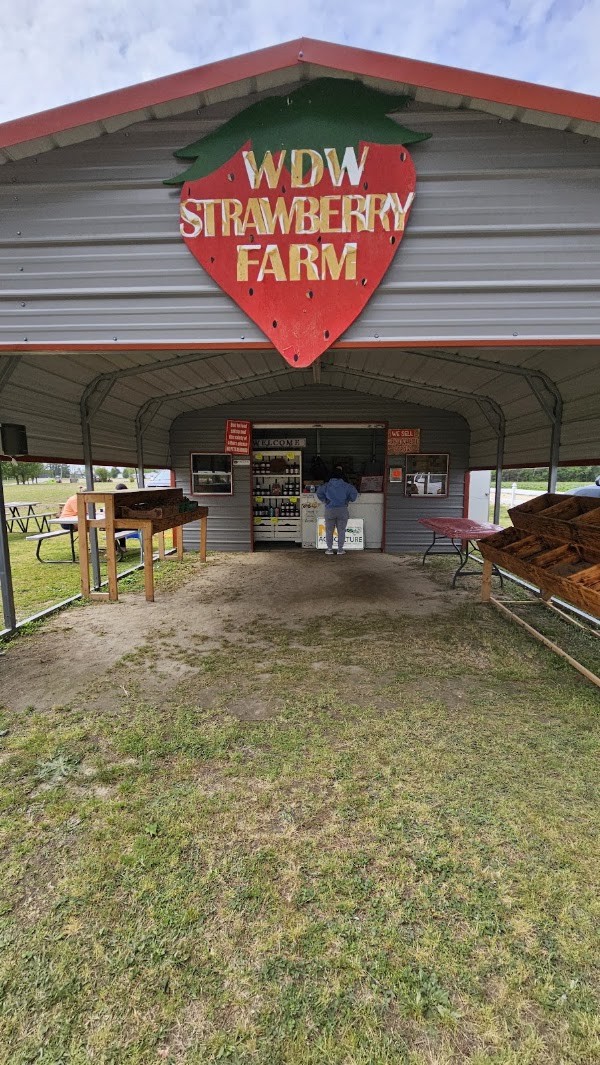 WDW Strawberry Farm & Roadside Stand