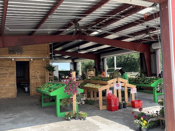 Cassabaum farm
