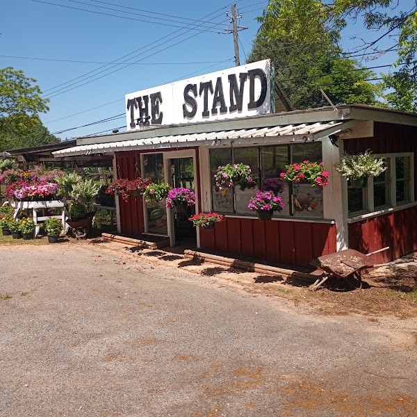 THE STAND