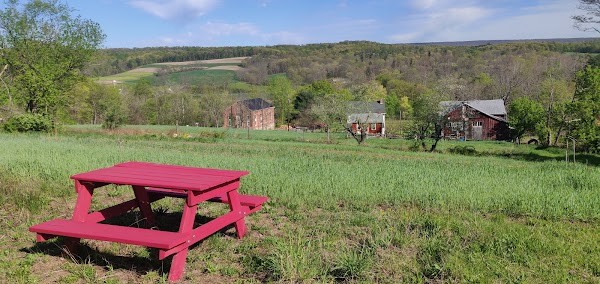 Farm Stand for Big Buffalo Creek Regenerative Farm