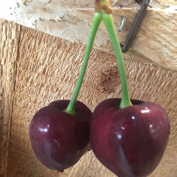 Seaquist Orchards Farm Market