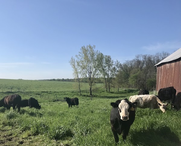 West Fork Farmstead