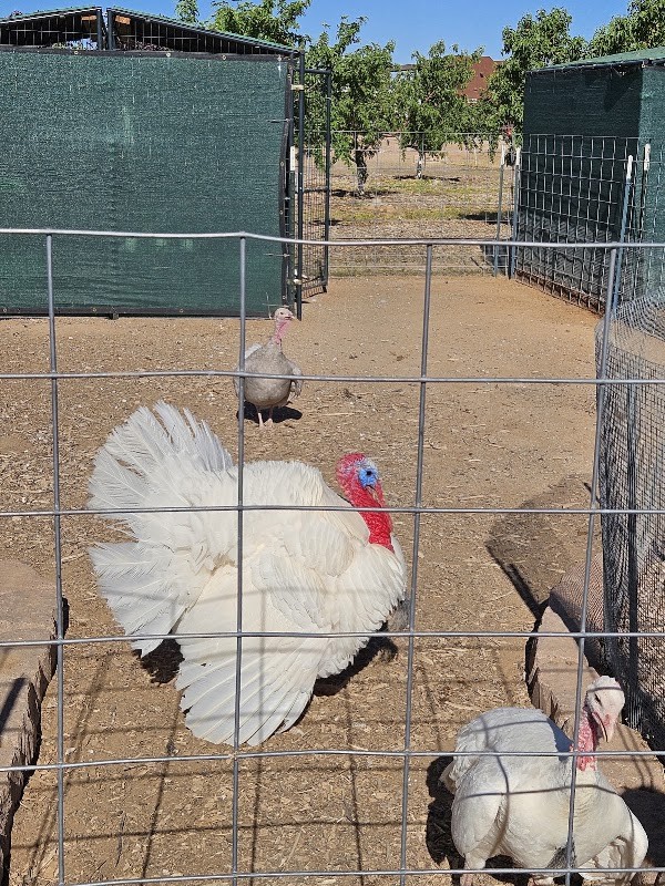 Edge of Nowhere Farm, LLC