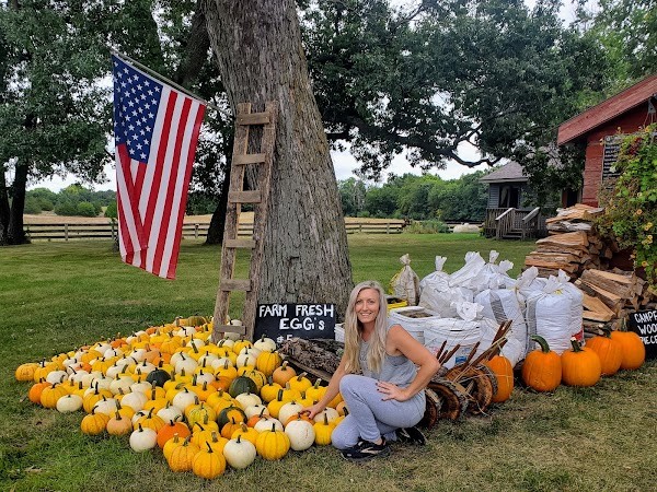 The Farm Stand at Portage Wisconsin