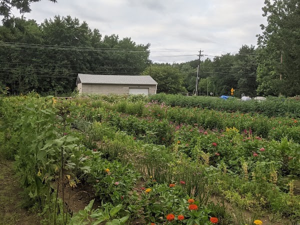 Jersey Jules Farm Stand