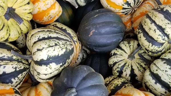 Brubaker's Acres Family Farm Market and Greenhouses