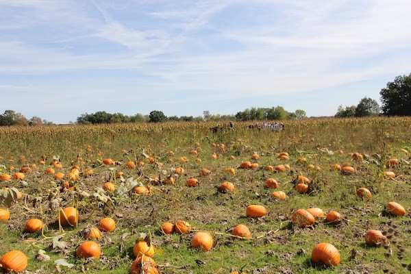 Fick Farms