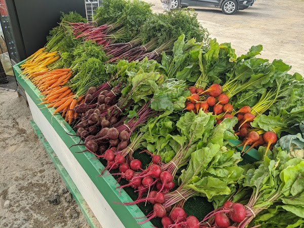 The Chef's Garden