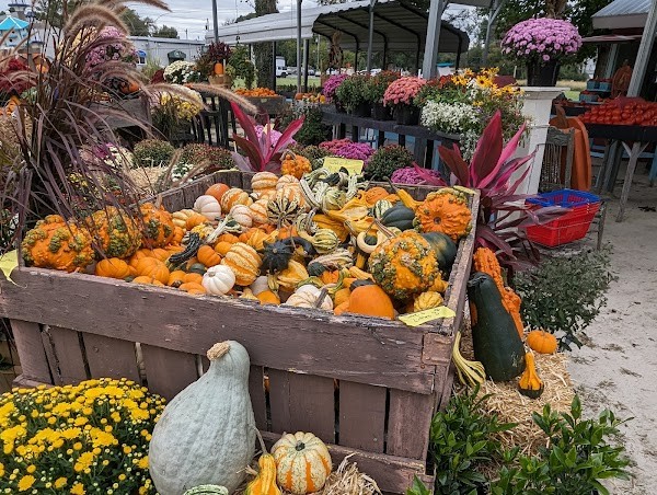Magee Farms