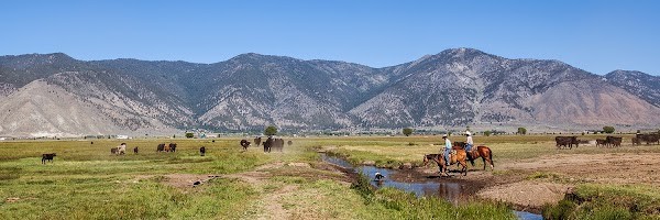 Bently Ranch