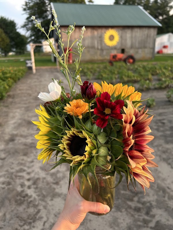 Bremer Produce U-Pick Flower Farm