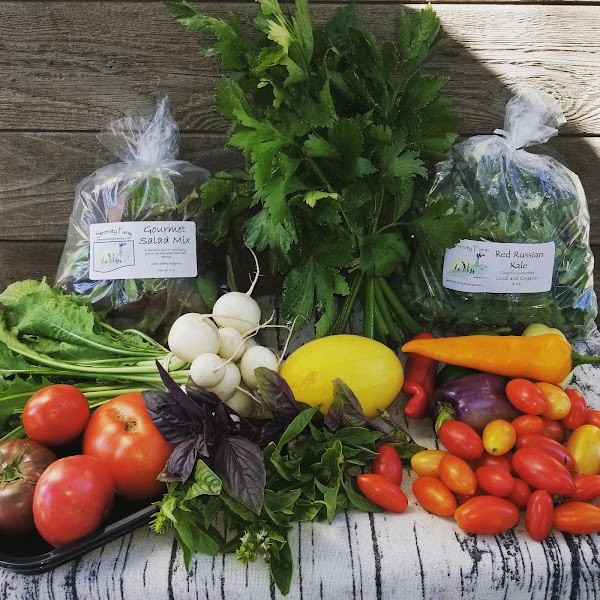 Serenity Farm CSA