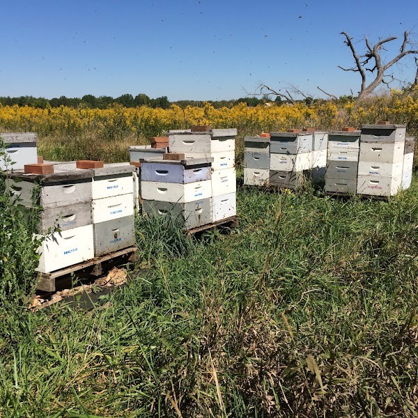 Honeyrun Farm