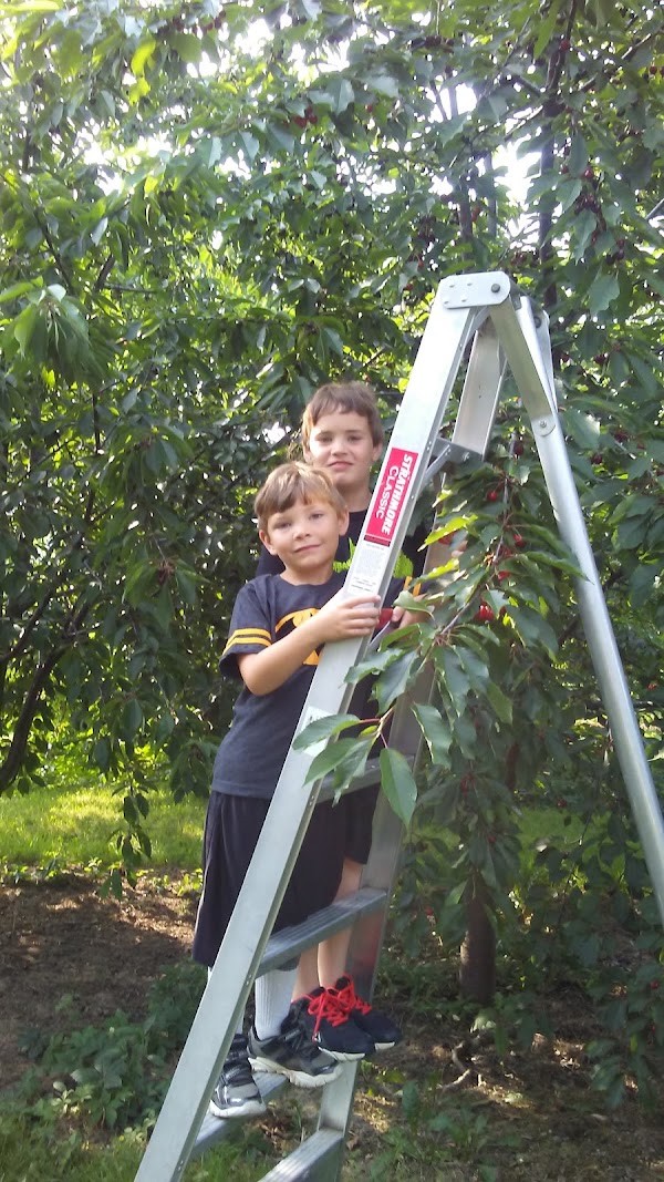 Shanholtz Orchards