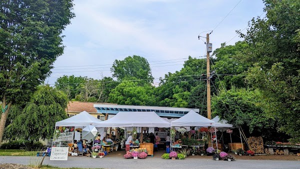 Jenny's Market