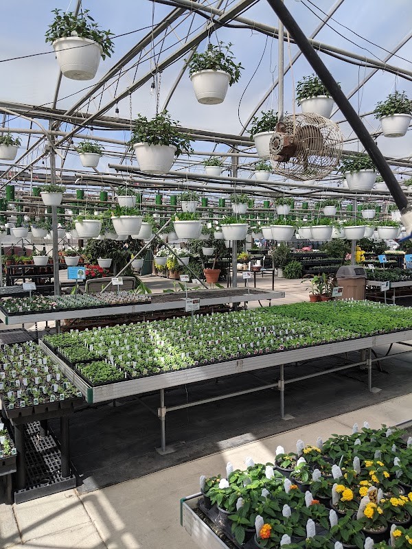 Smits Farms