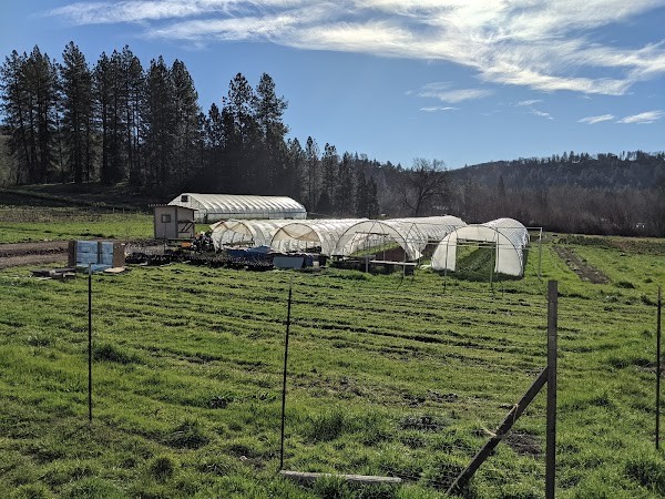 24Carrot Farm