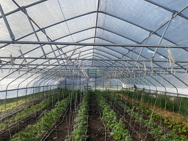The Farm