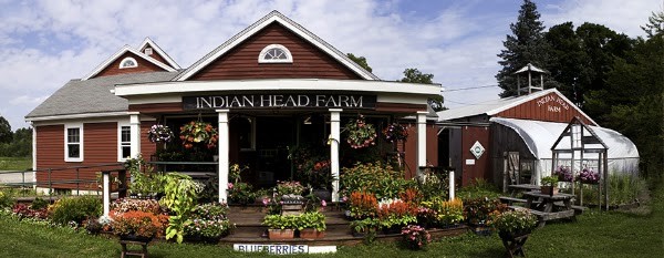 Cordelia's Farm