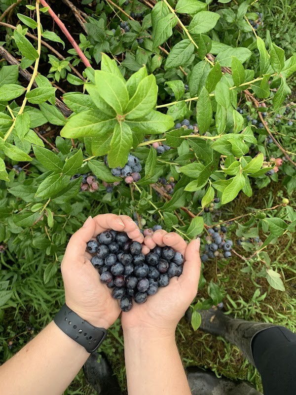 Anne's Acres, Inc.