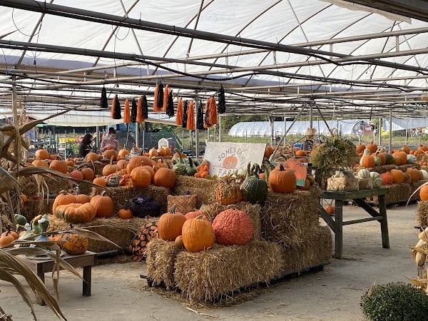 Jones Family Farm Market