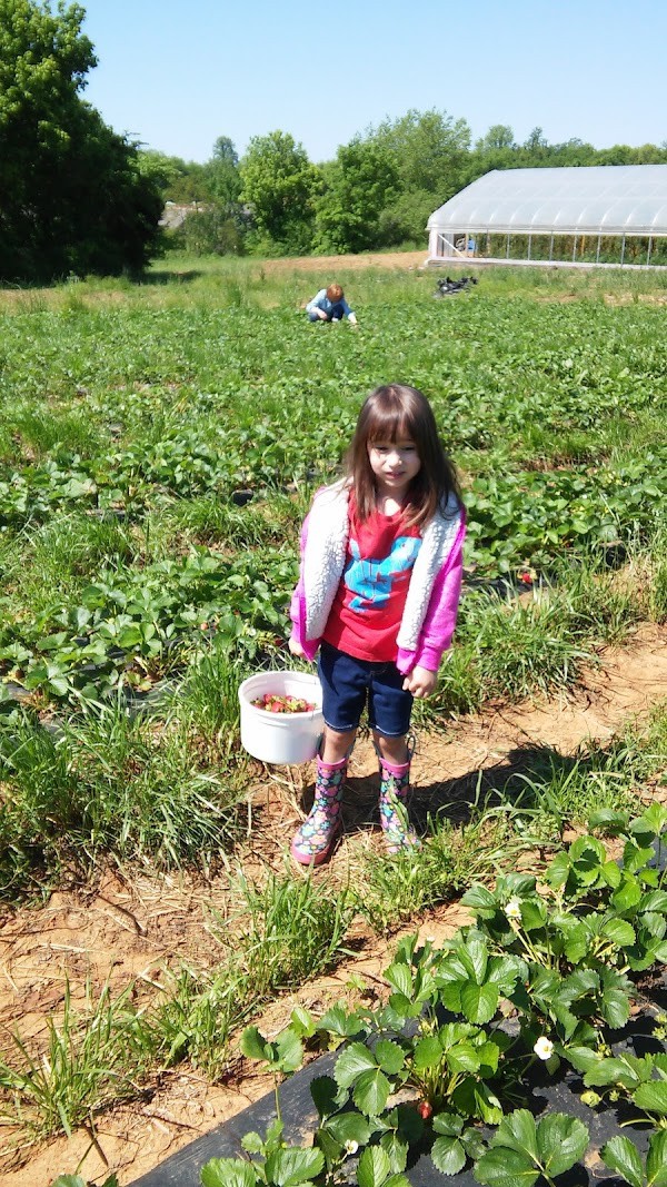 Pantall Farms