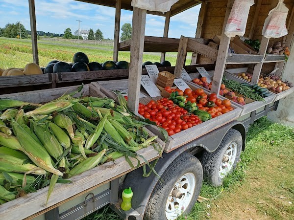 Dotson's Farm