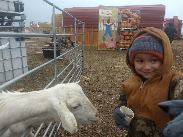 Tubbs Berry Farm