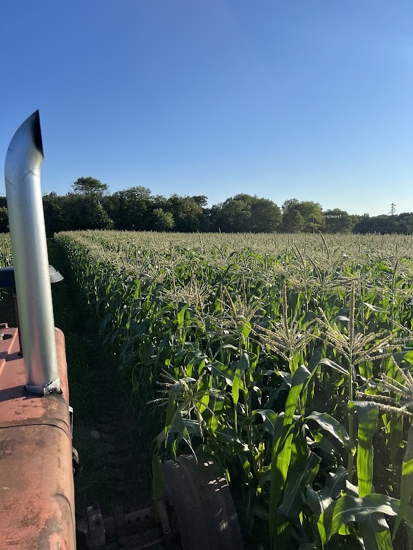 Grassy Hill Farm