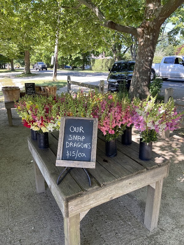 Pike Farms