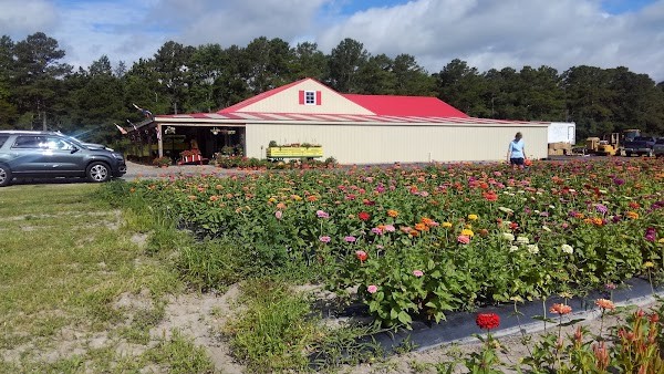 Bay Breeze Farms