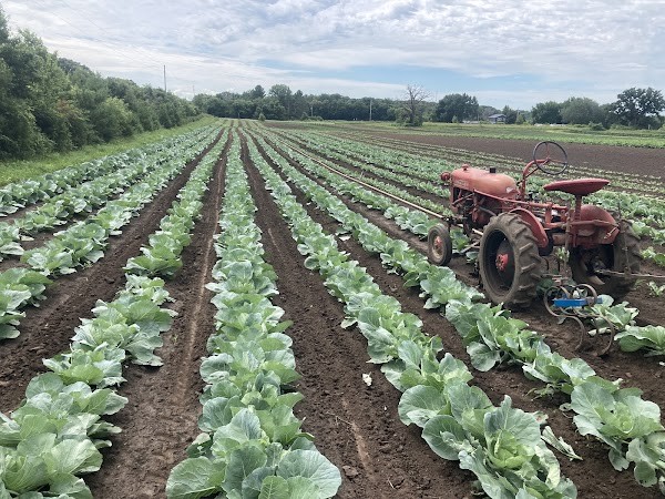 Open hands farm