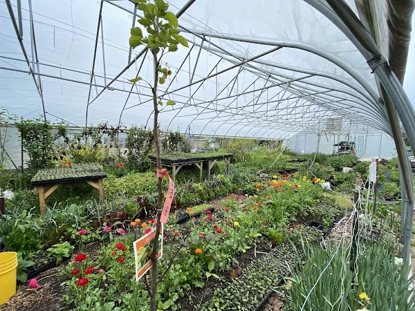 Half Barn Farmstand