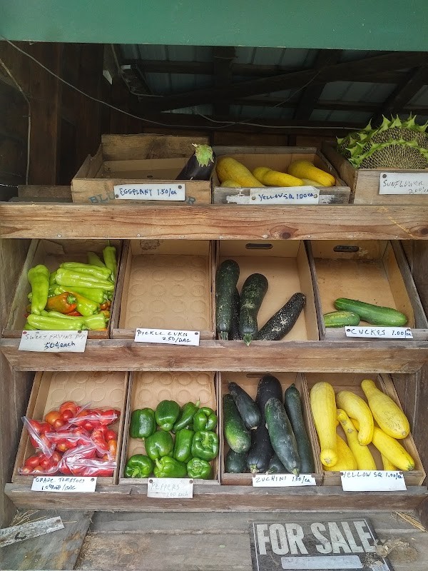 Cornstand, CT The Grinvalsky Farm