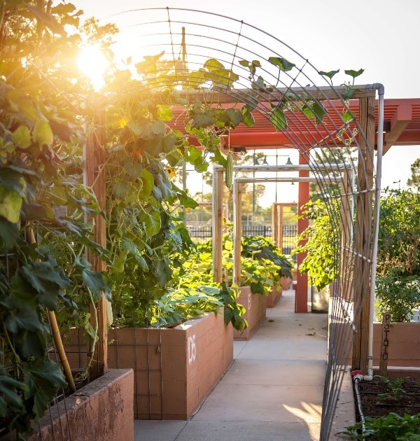 Garden Farms of Nevada, Las Vegas | Garden Farms Foundation