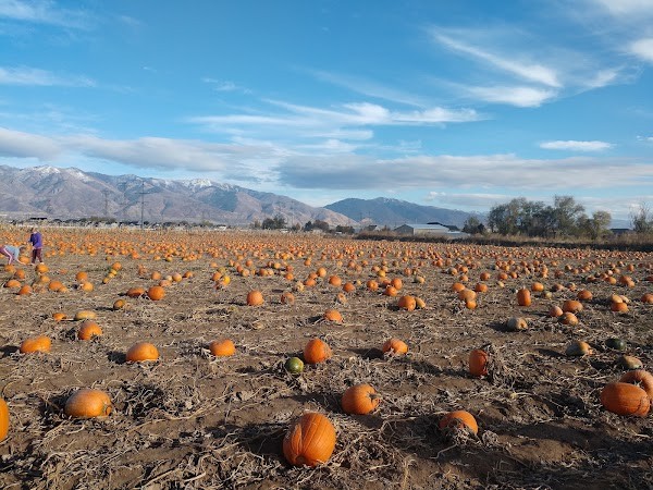 Day Farms