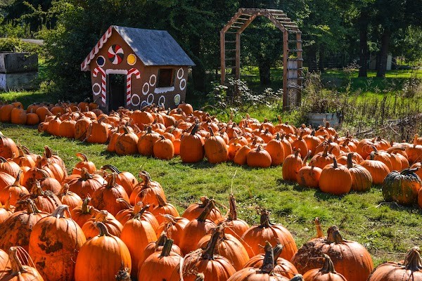 Herrick Farms
