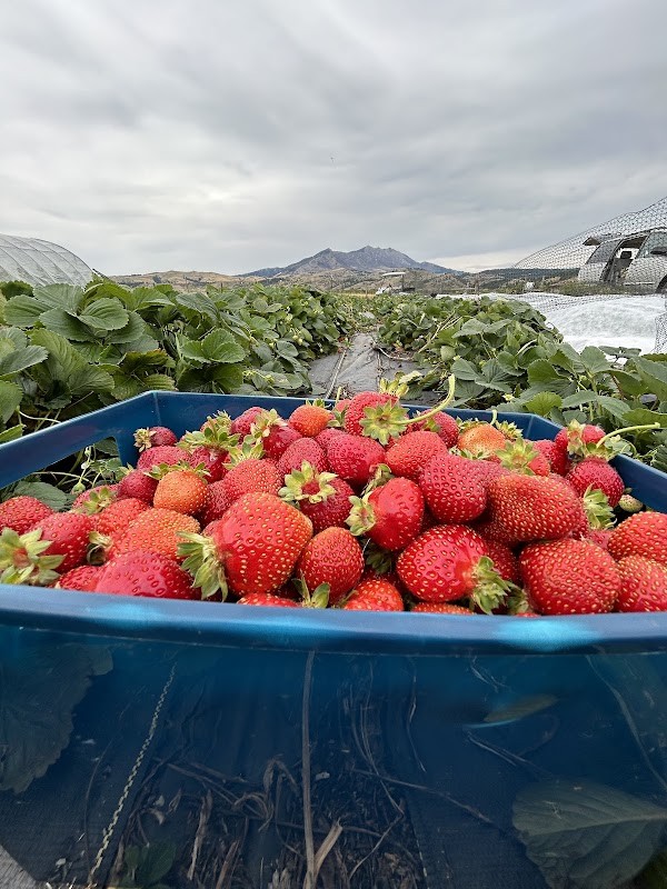 Bear Canyon Farm