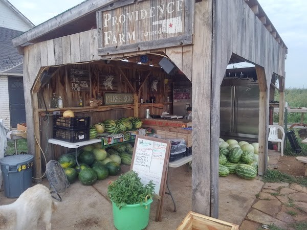 Rooted Community Harvest