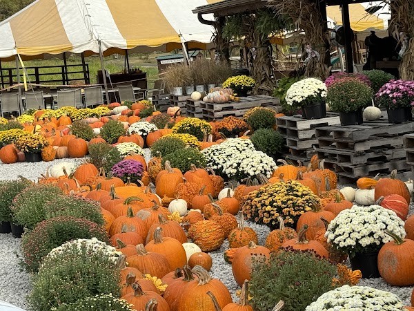 Griffith Family Farms
